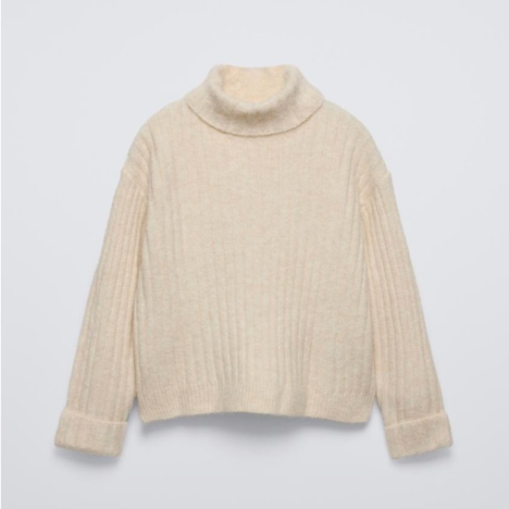 Zara Oversized Turtleneck Sweater Dress